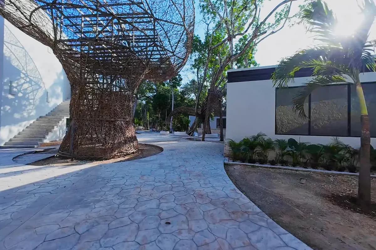 Sendero con escultura de raíces