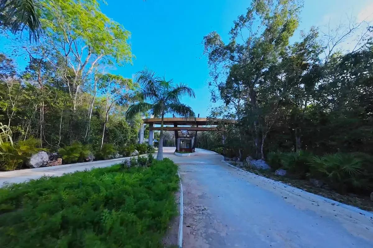 Acceso principal con palapa