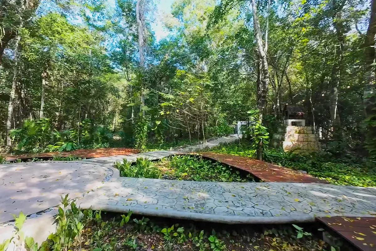 Bosque y senderos del desarrollo