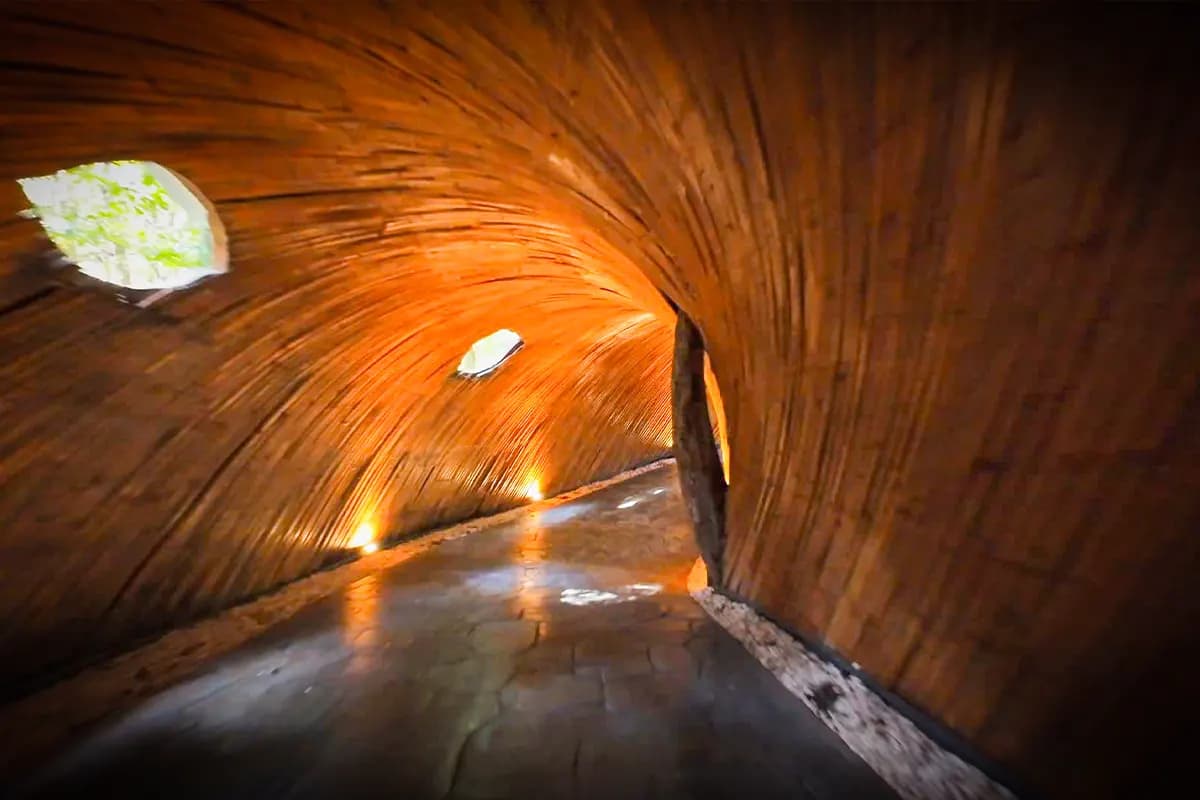 Túnel de bambú interior con columna y luz natural
