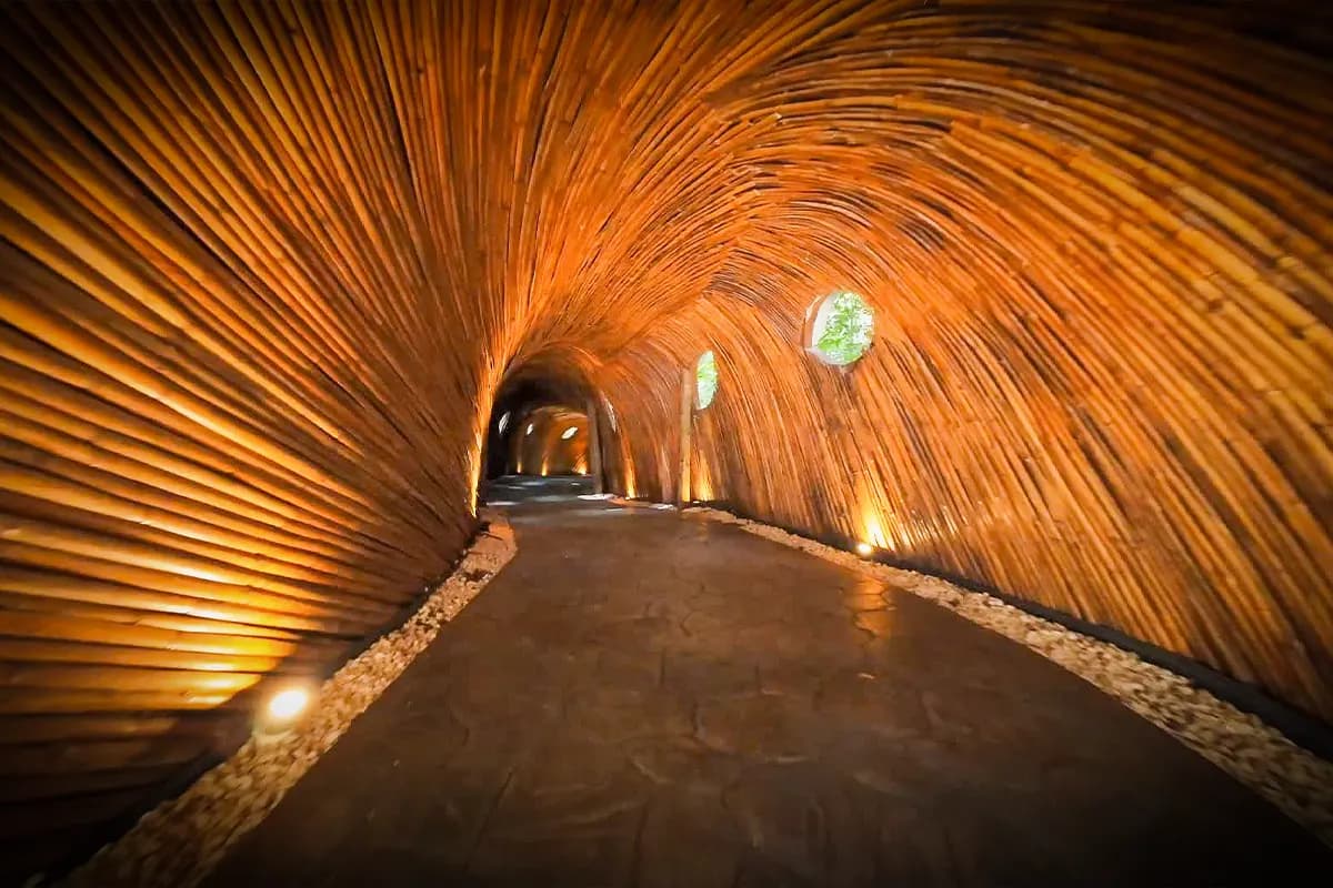 Túnel de bambú interior iluminado