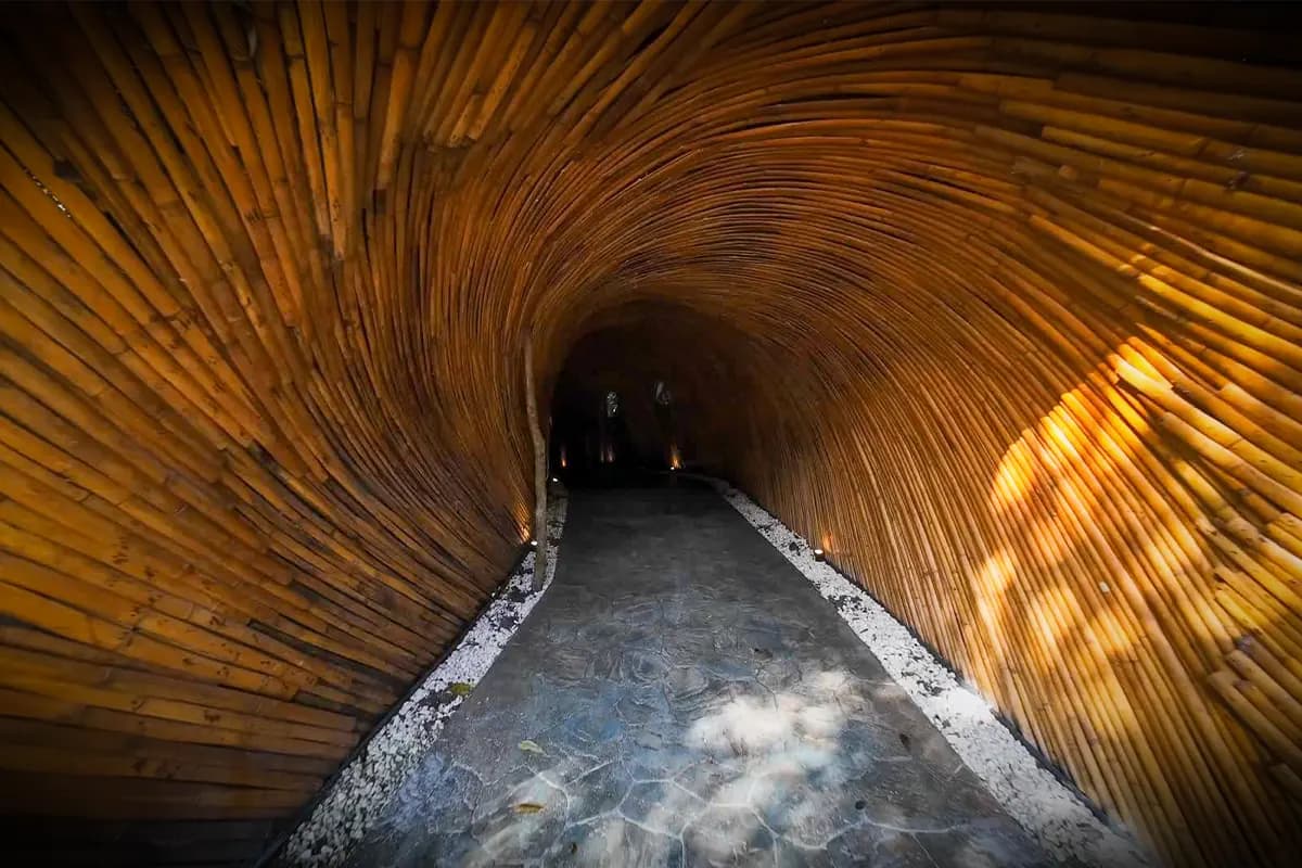Túnel de bambú interior