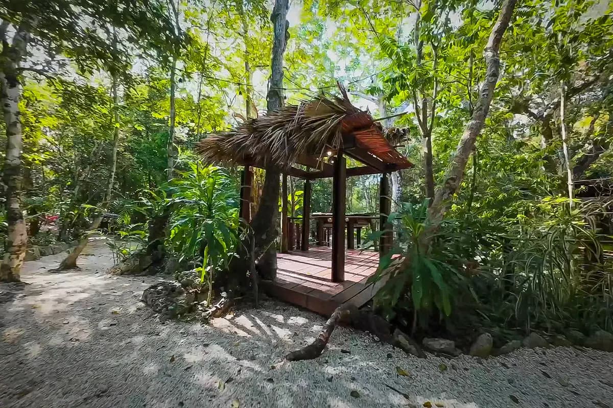 Palapa de descanso en el bosque