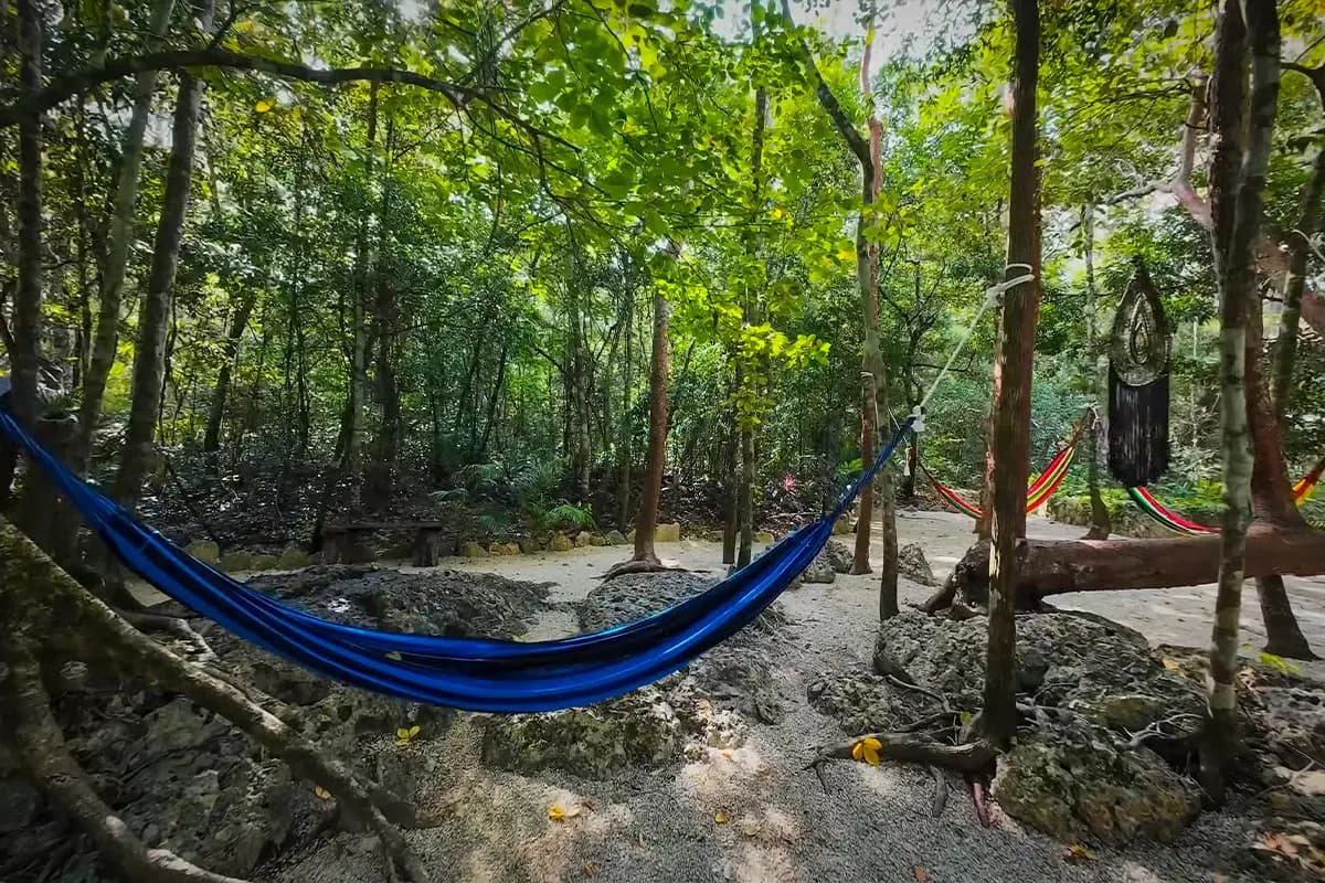 Hamaca azul entre árboles